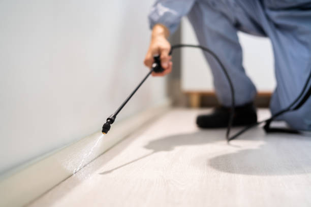 Licensed Termite Control service in Abbeville, GA - Nex Pest Control