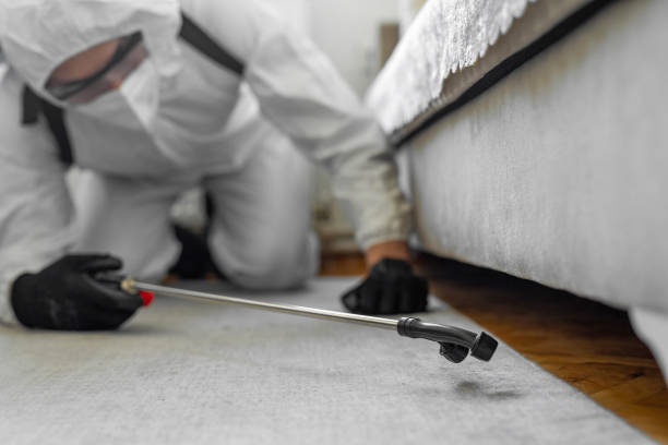 Professional Termite Control technician working in Abbeville, GA