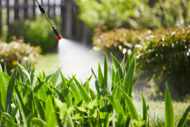 24/7 Emergency Termite Control experts in Abbeville, GA
