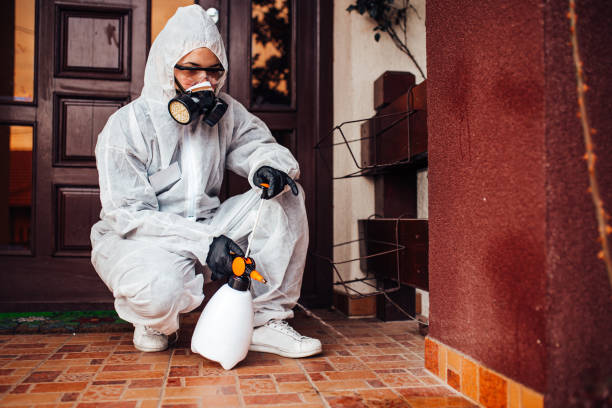 Reliable Termite Control contractor in Abbeville, GA by Nex Pest Control